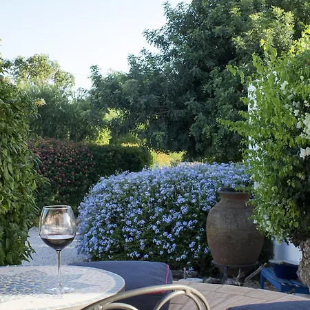Casa Palmeira - Magically Beautiful With Private Pool, Great Beaches Nearby Boliqueime