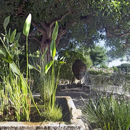 Villa Casa Palmeira - Magically Beautiful With Private Pool, Great Beaches Nearby *
