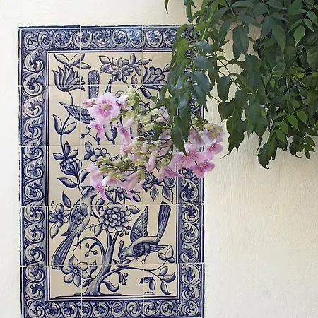 Villa Casa Palmeira - Magically Beautiful With Private Pool, Great Beaches Nearby