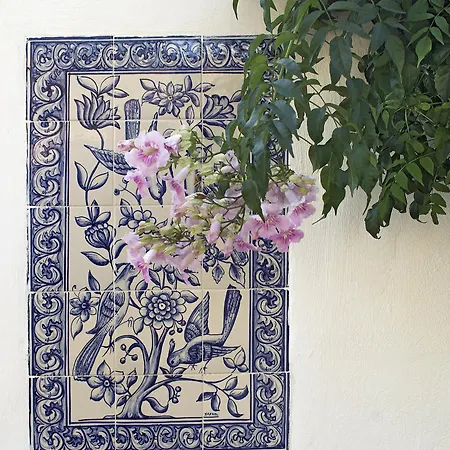 Villa Casa Palmeira - Magically Beautiful With Private Pool, Great Beaches Nearby