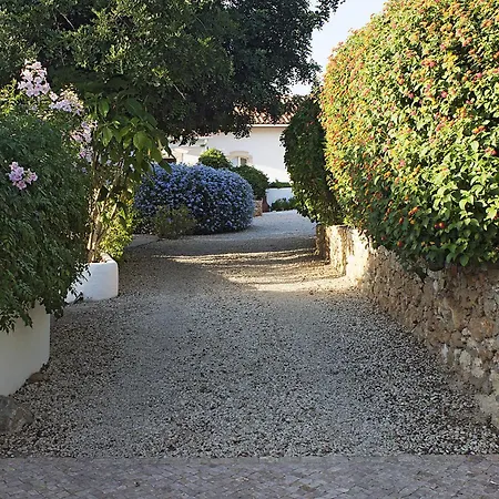Casa Palmeira - Magically Beautiful With Private Pool, Great Beaches Nearby